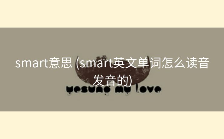 smart意思 (smart英文单词怎么读音发音的)