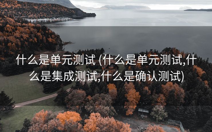 什么是单元测试 (什么是单元测试,什么是集成测试,什么是确认测试)