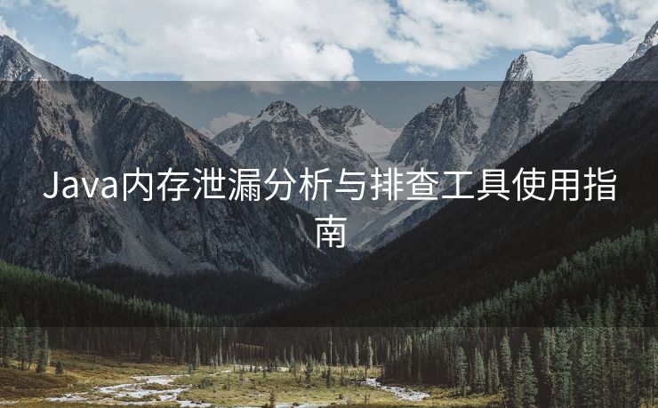 Java内存泄漏分析与排查工具使用指南
