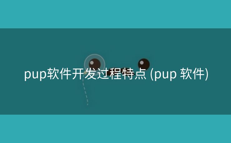 pup软件开发过程特点 (pup 软件)
