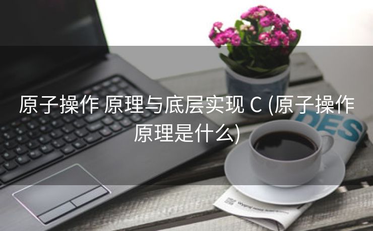 原子操作 原理与底层实现 C (原子操作原理是什么)