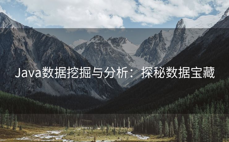 Java数据挖掘与分析：探秘数据宝藏