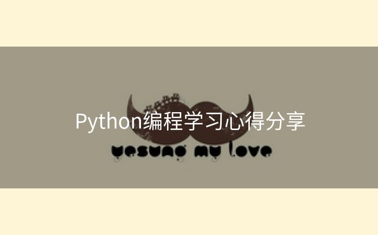 Python编程学习心得分享
