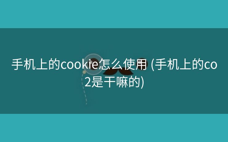 手机上的cookie怎么使用 (手机上的co2是干嘛的)