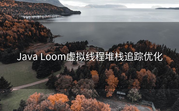 Java Loom虚拟线程堆栈追踪优化