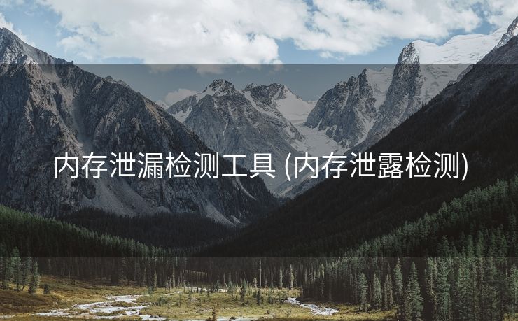内存泄漏检测工具 (内存泄露检测)