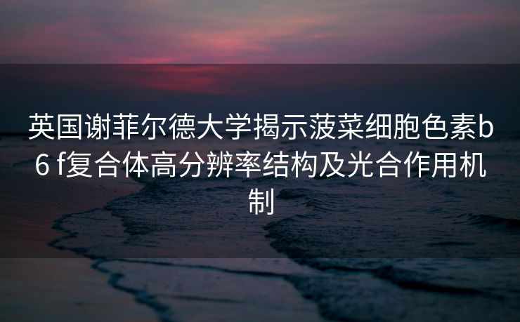 英国谢菲尔德大学揭示菠菜细胞色素b6 f复合体高分辨率结构及光合作用机制