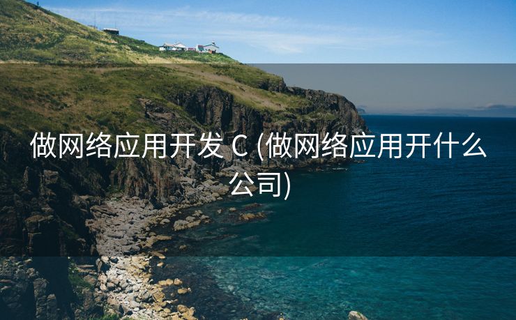 做网络应用开发 C (做网络应用开什么公司)