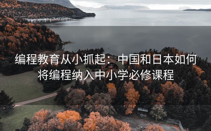 编程教育从小抓起：中国和日本如何将编程纳入中小学必修课程