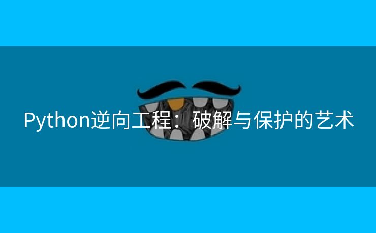 Python逆向工程：破解与保护的艺术