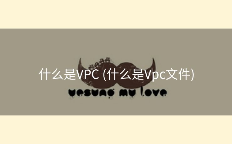 什么是VPC (什么是Vpc文件)
