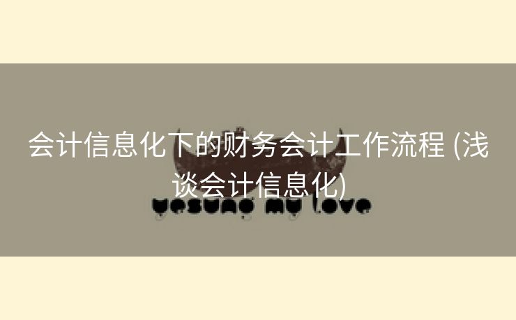 会计信息化下的财务会计工作流程 (浅谈会计信息化)