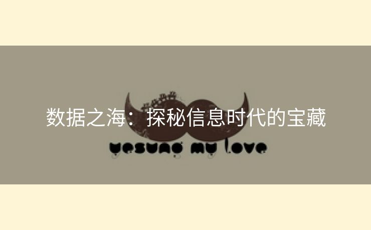 数据之海：探秘信息时代的宝藏