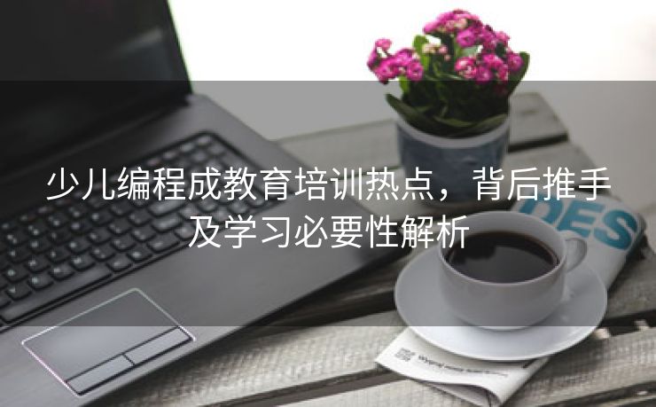 少儿编程成教育培训热点，背后推手及学习必要性解析