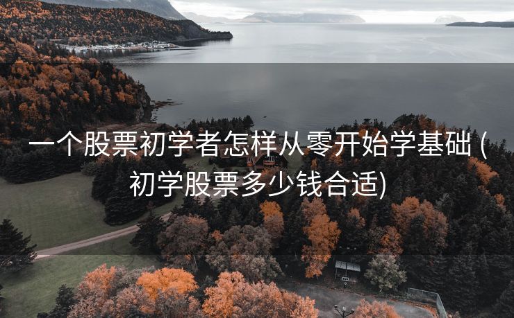 一个股票初学者怎样从零开始学基础 (初学股票多少钱合适)