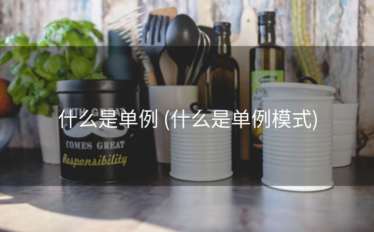 什么是单例 (什么是单例模式)