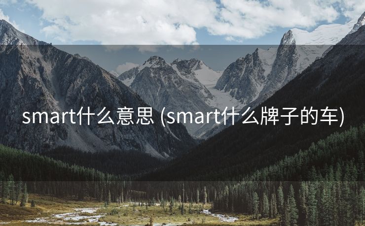 smart什么意思 (smart什么牌子的车) smart什么意思 (smart什么牌子的车)