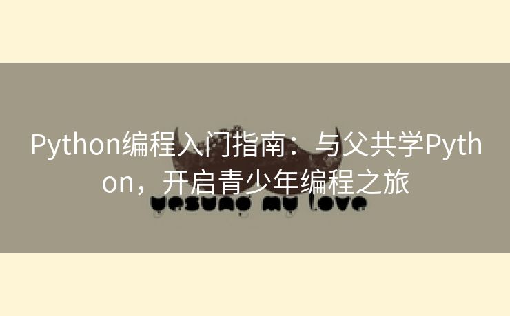 Python编程入门指南：与父共学Python，开启青少年编程之旅