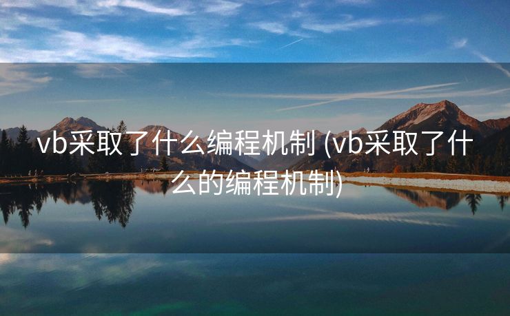 vb采取了什么编程机制 (vb采取了什么的编程机制)