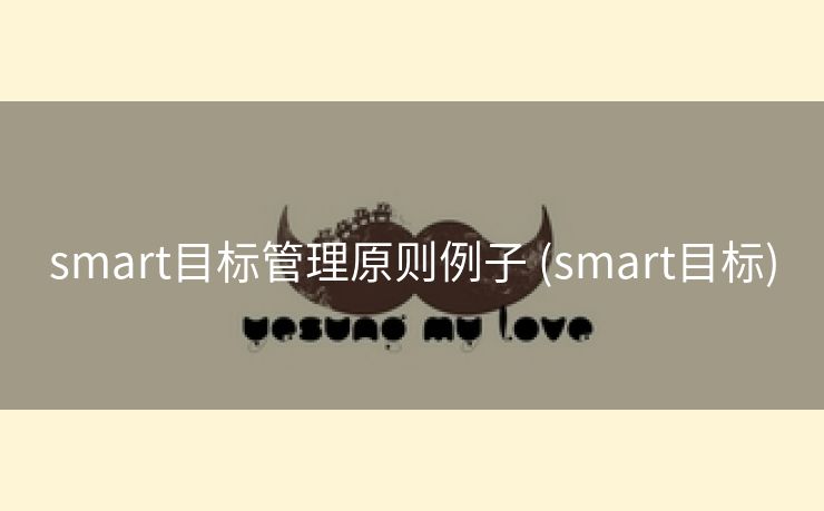 smart目标管理原则例子 (smart目标)