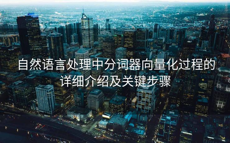 自然语言处理中分词器向量化过程的详细介绍及关键步骤