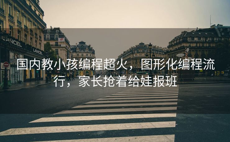 国内教小孩编程超火，图形化编程流行，家长抢着给娃报班