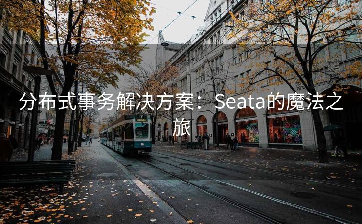 分布式事务解决方案：Seata的魔法之旅