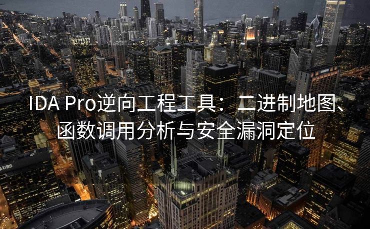 IDA Pro逆向工程工具：二进制地图、函数调用分析与安全漏洞定位