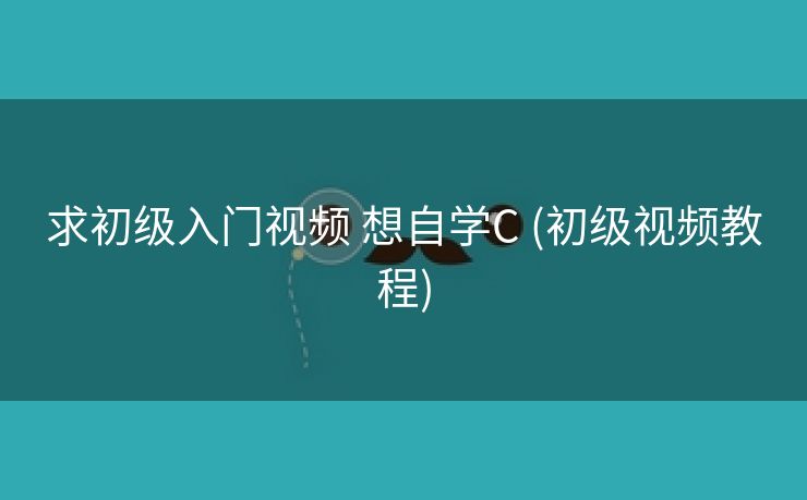 求初级入门视频 想自学C (初级视频教程)