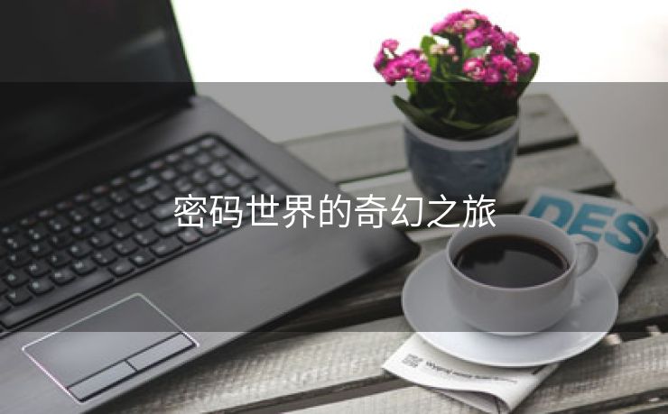 密码世界的奇幻之旅