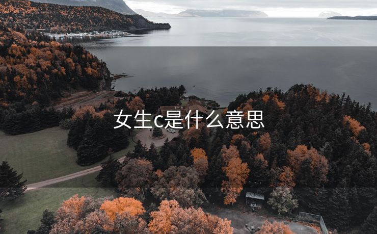 女生c是什么意思