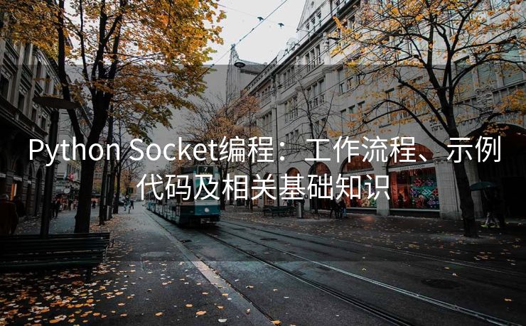 Python Socket编程：工作流程、示例代码及相关基础知识