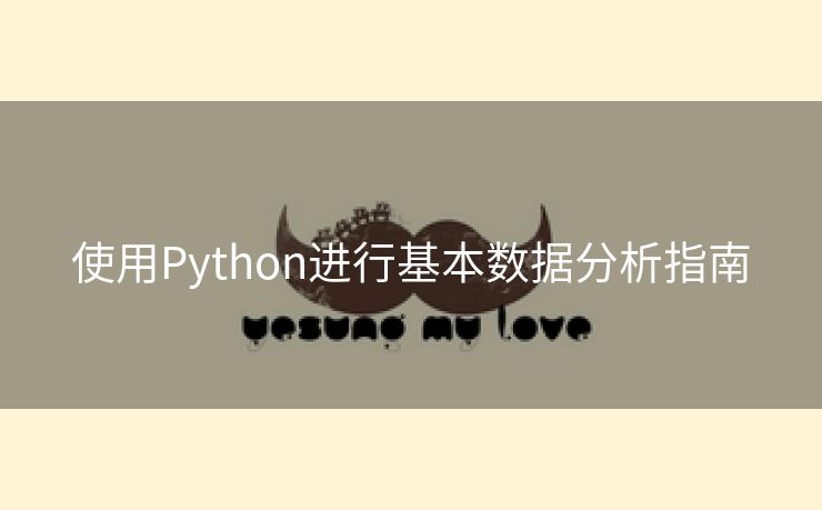 使用Python进行基本数据分析指南 使用Python进行基本数据分析指南