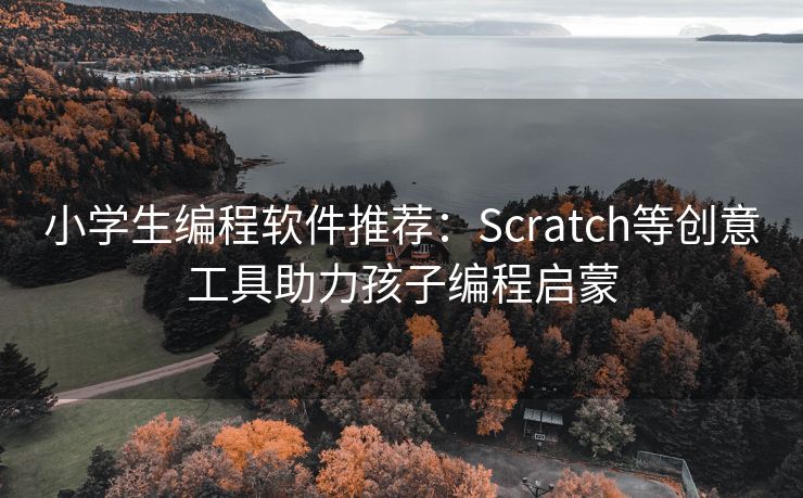 小学生编程软件推荐：Scratch等创意工具助力孩子编程启蒙