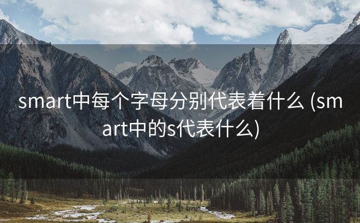 smart中每个字母分别代表着什么 (smart中的s代表什么)