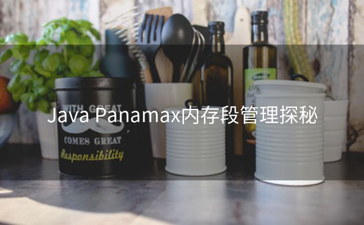 Java Panamax内存段管理探秘