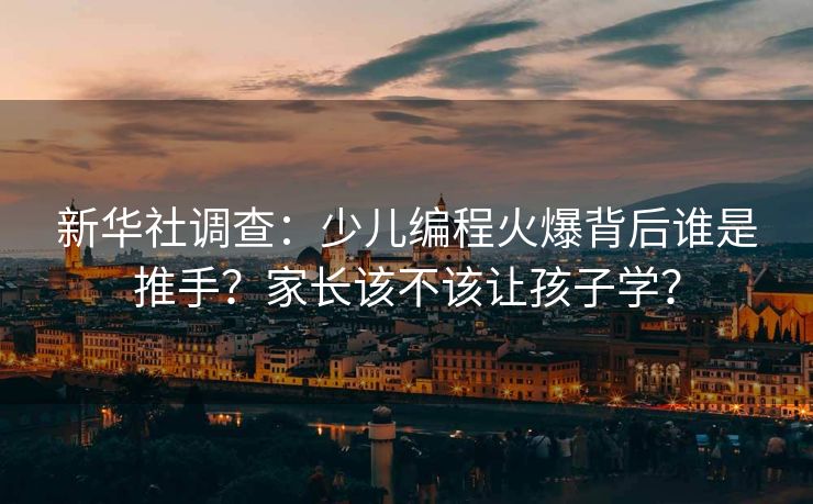 新华社调查：少儿编程火爆背后谁是推手？家长该不该让孩子学？