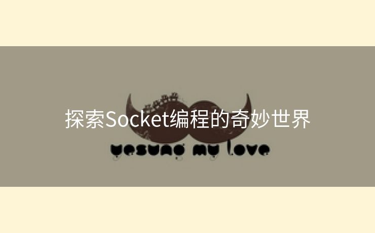 探索Socket编程的奇妙世界