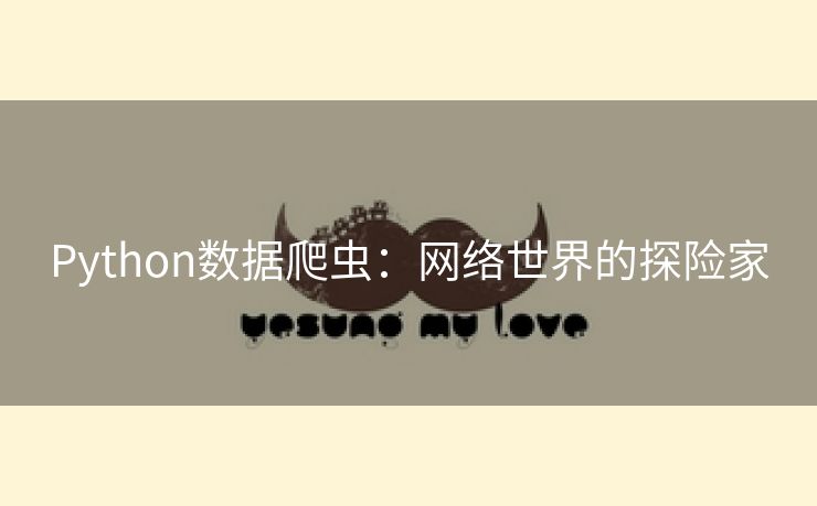 Python数据爬虫：网络世界的探险家
