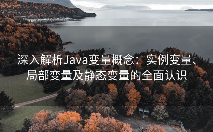 深入解析Java变量概念：实例变量、局部变量及静态变量的全面认识