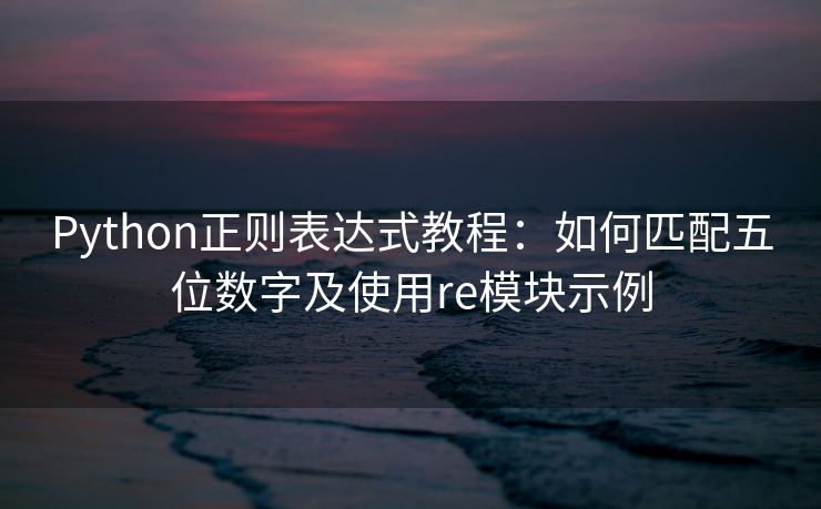 Python正则表达式教程：如何匹配五位数字及使用re模块示例