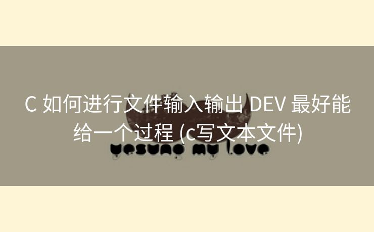 C 如何进行文件输入输出 DEV 最好能给一个过程 (c写文本文件)