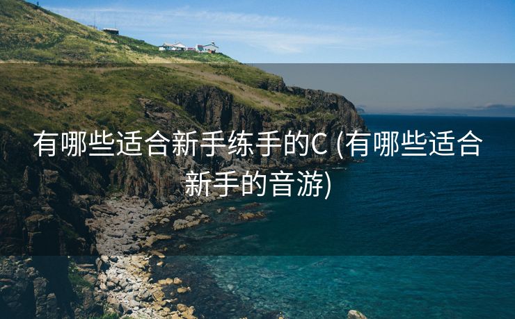 有哪些适合新手练手的C (有哪些适合新手的音游) 有哪些适合新手练手的C (有哪些适合新手的音游)