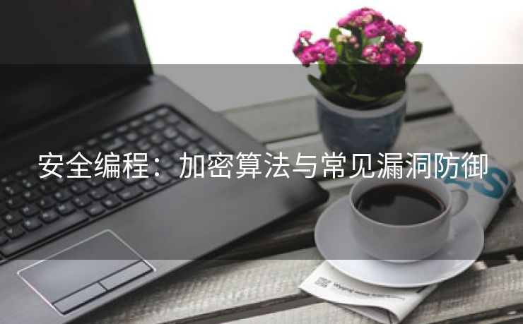 安全编程：加密算法与常见漏洞防御