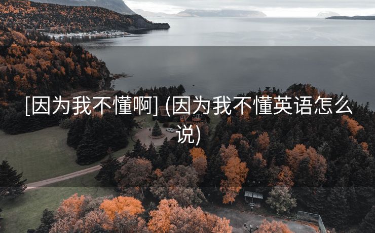 [因为我不懂啊] (因为我不懂英语怎么说)