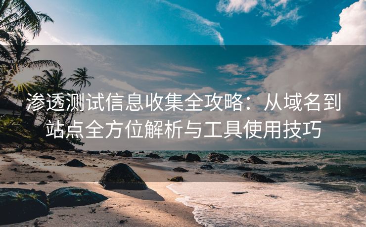 渗透测试信息收集全攻略：从域名到站点全方位解析与工具使用技巧