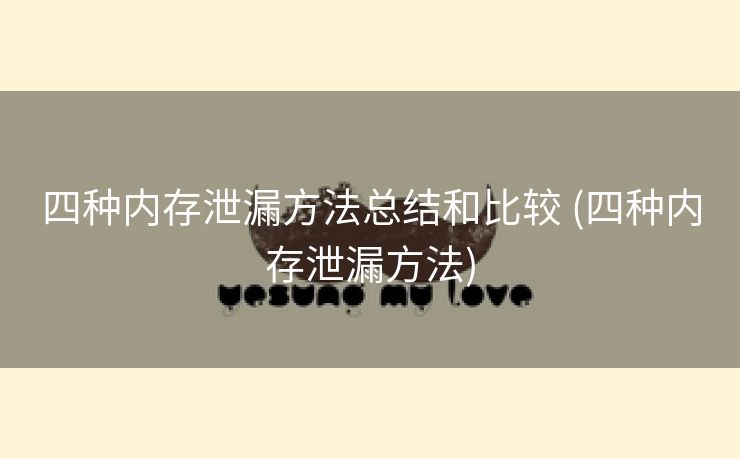 四种内存泄漏方法总结和比较 (四种内存泄漏方法)