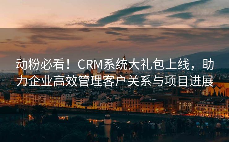 动粉必看！CRM系统大礼包上线，助力企业高效管理客户关系与项目进展