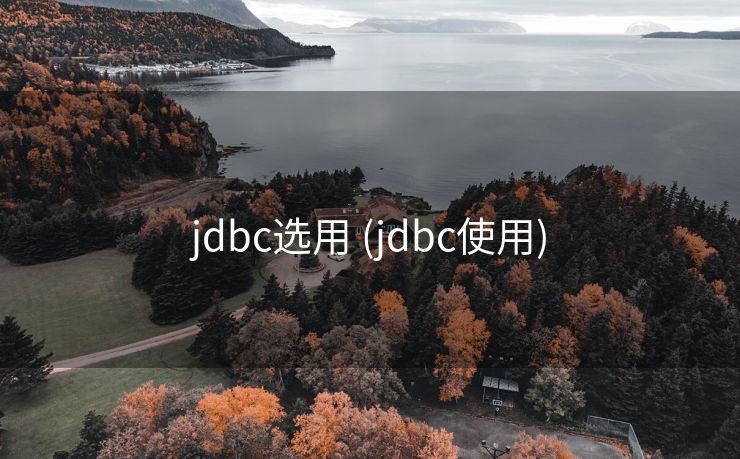 jdbc选用 (jdbc使用) jdbc选用 (jdbc使用)