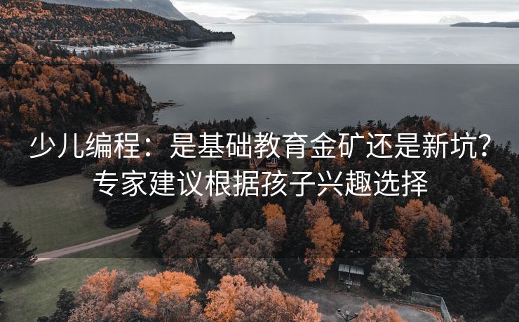 少儿编程：是基础教育金矿还是新坑？专家建议根据孩子兴趣选择